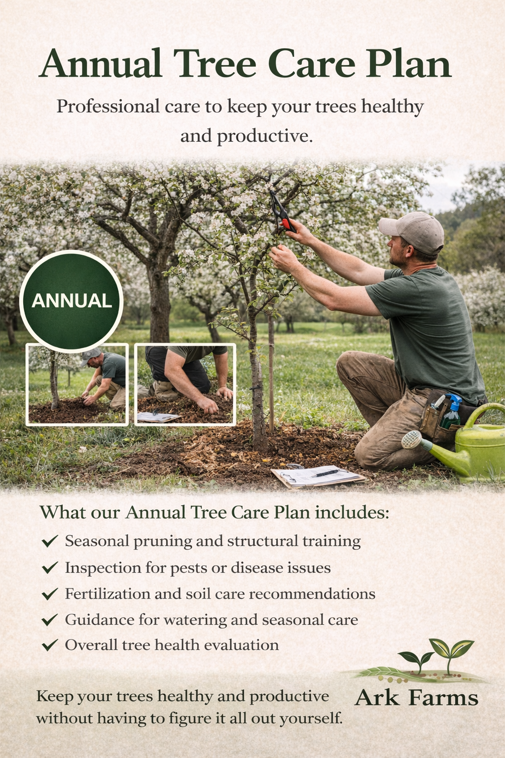 Annual Tree Care Plan